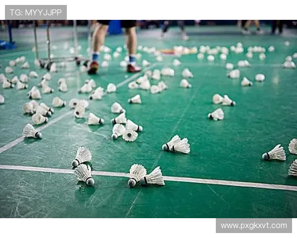 羽毛球世界排名风云变幻与顶尖高手争锋全景解析观察与未来格局展望 - 副本 - 副本 (2) - 副本