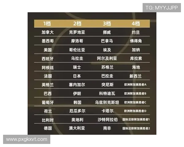 聚焦世界杯死亡之组形势前瞻与出线格局深度预测强队博弈全景解析 - 副本 - 副本 (2)